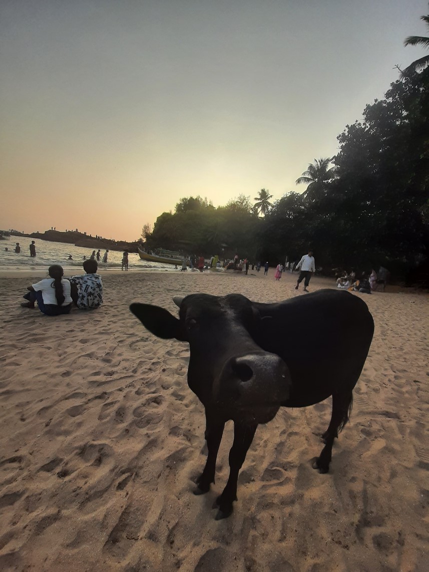 img/21/Gokarna (18).jpg